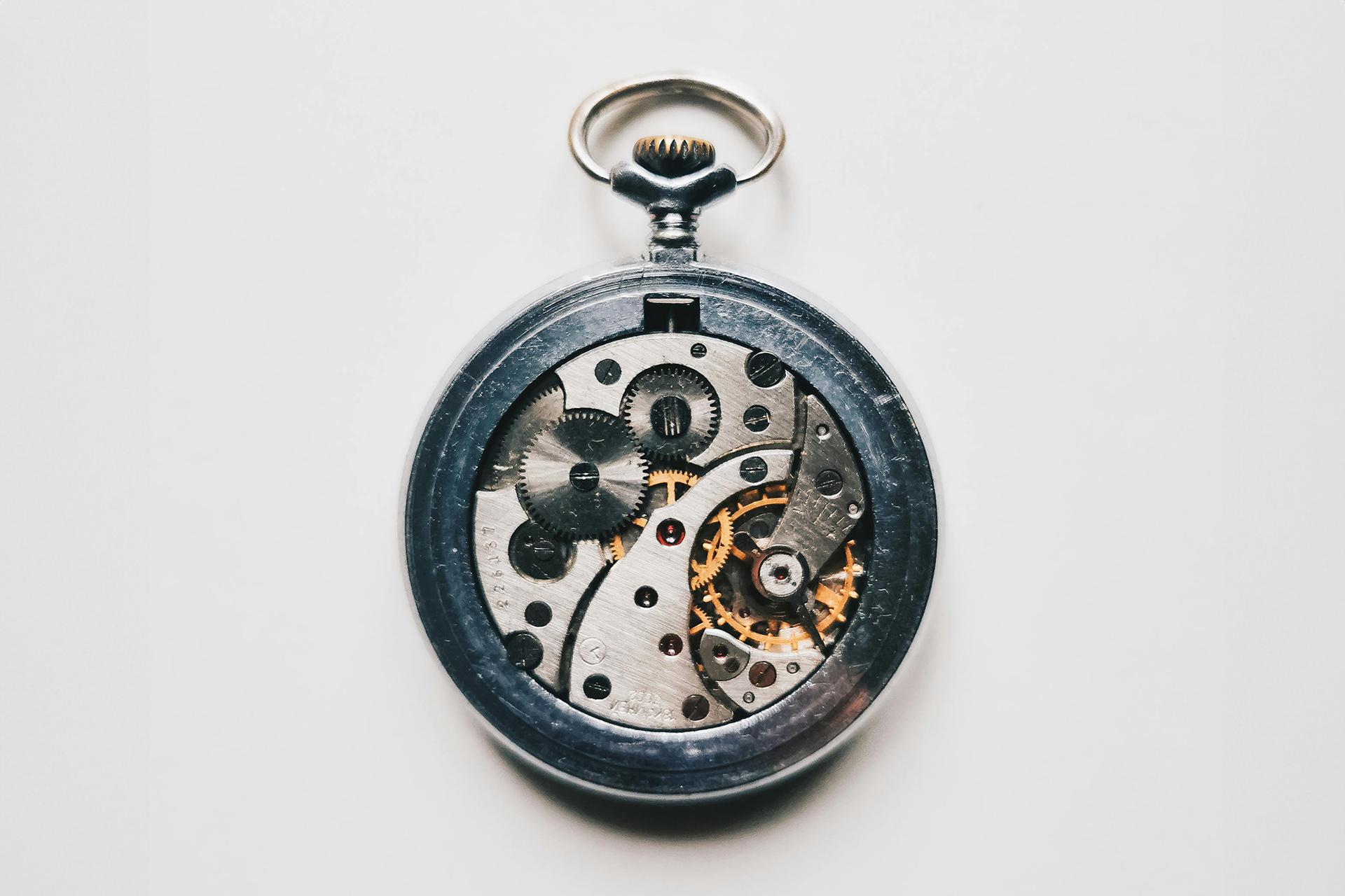 Фото: Irina P / Pexels 