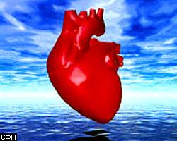 Сердце способно к регенeрации?
