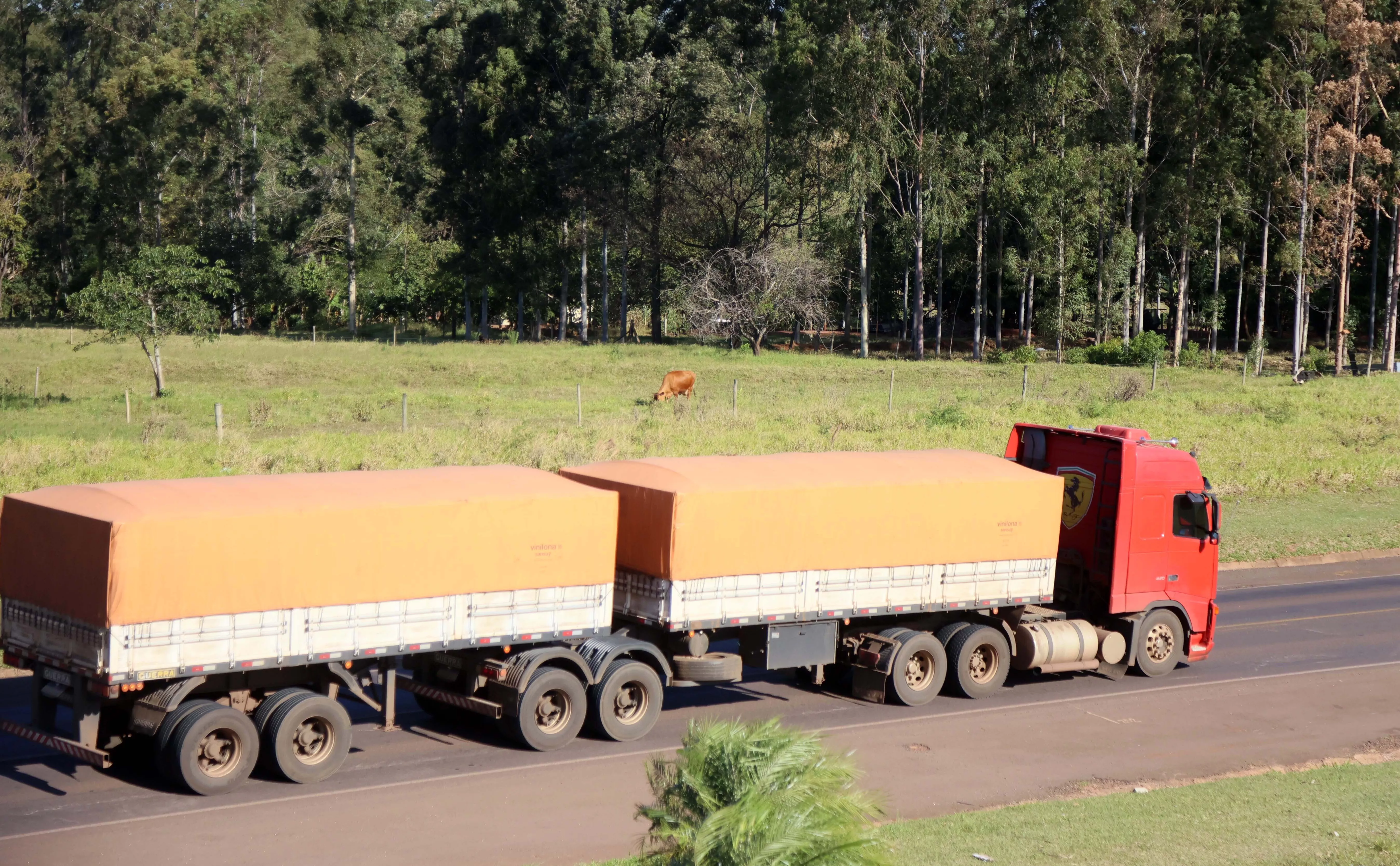 Dirceu Portugal / Keystone Press Agency / Global Look Press