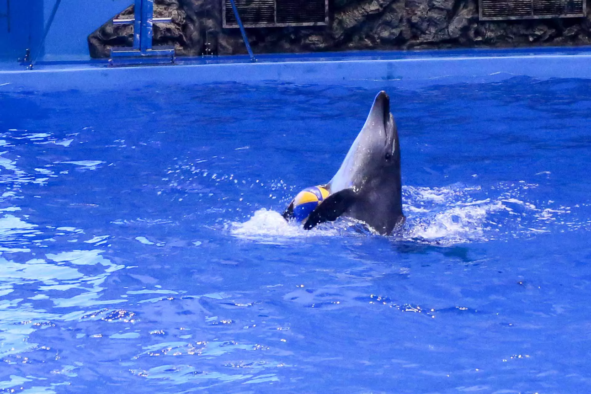 Приморский океанариум