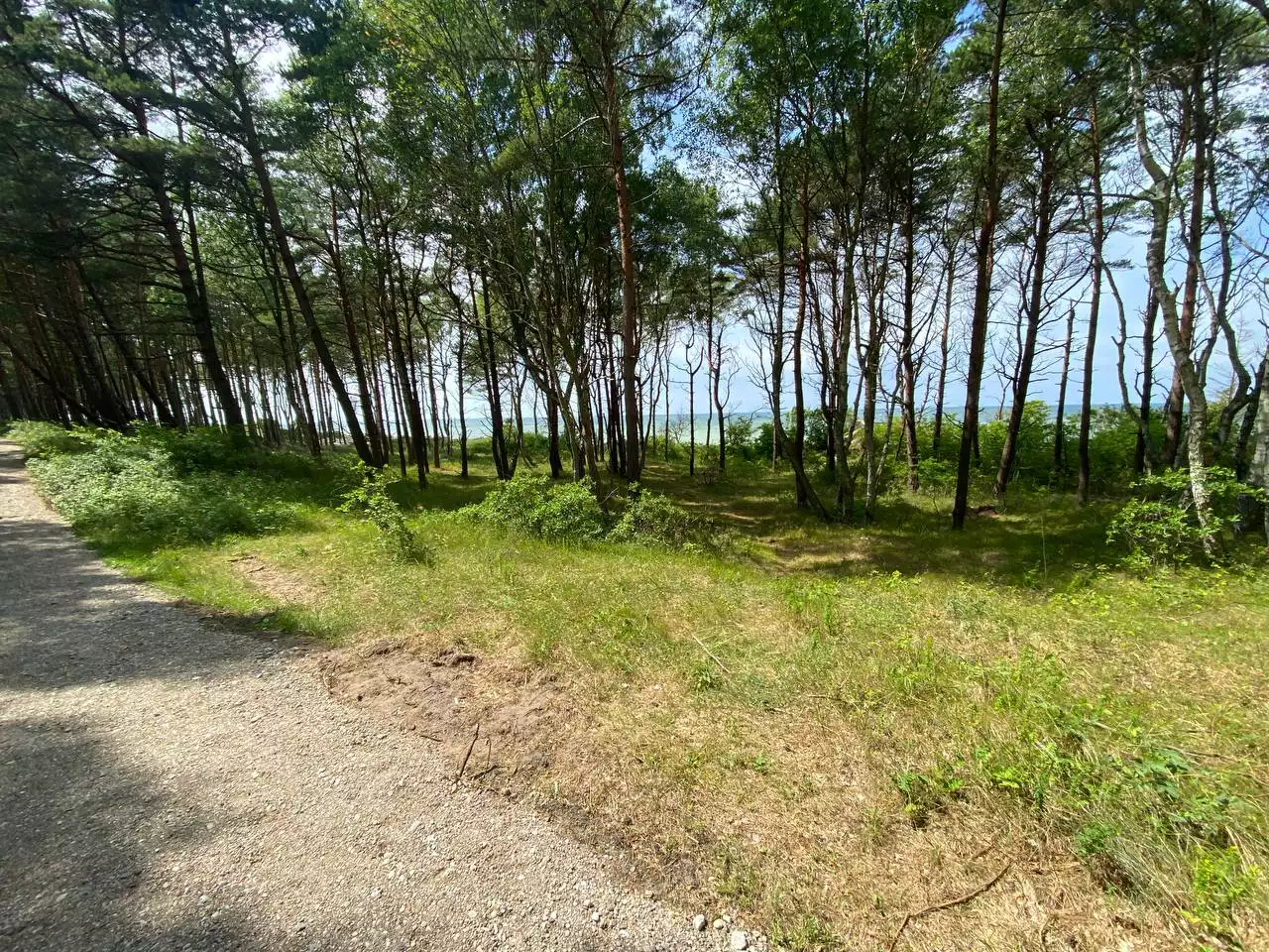 Александр Подгорчук