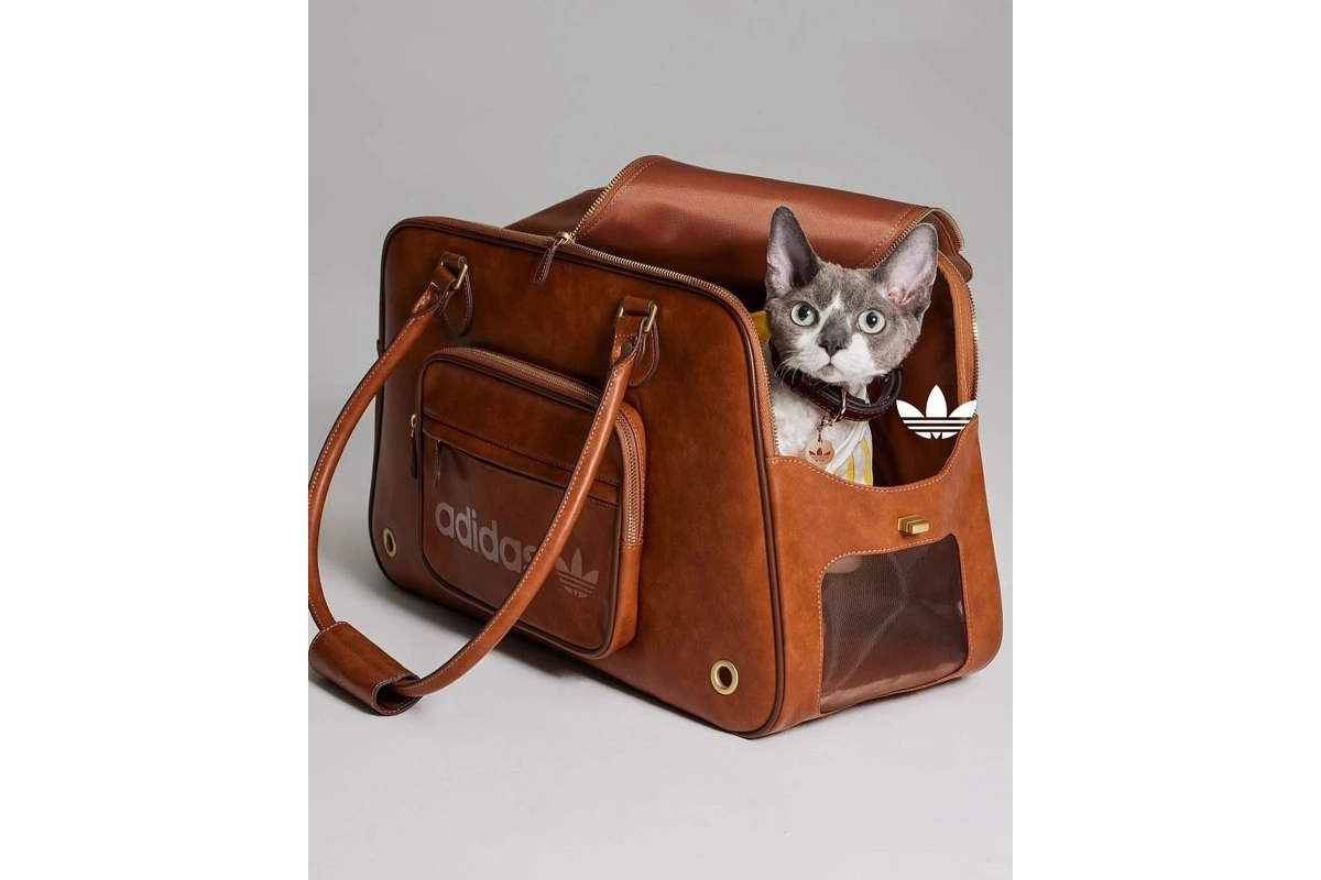 Коллекция Adidas Originals Pets была представлена в мае 2025 года