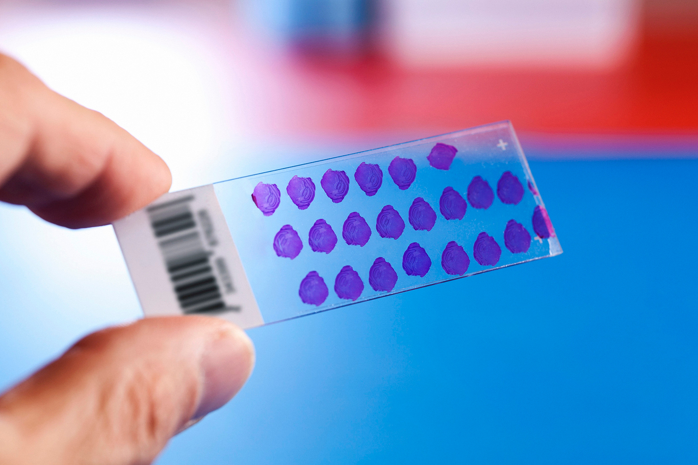 Фото: WLADIMIR BULGAR/gettyimages.com