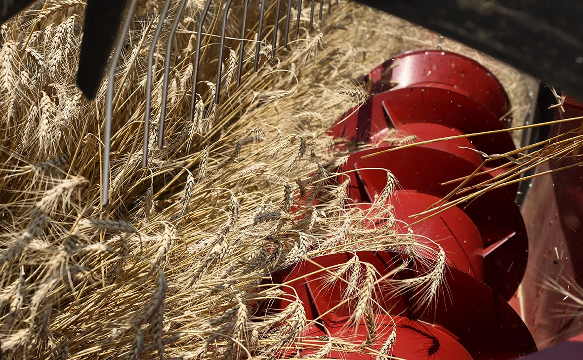 Александр Река / ТАСС