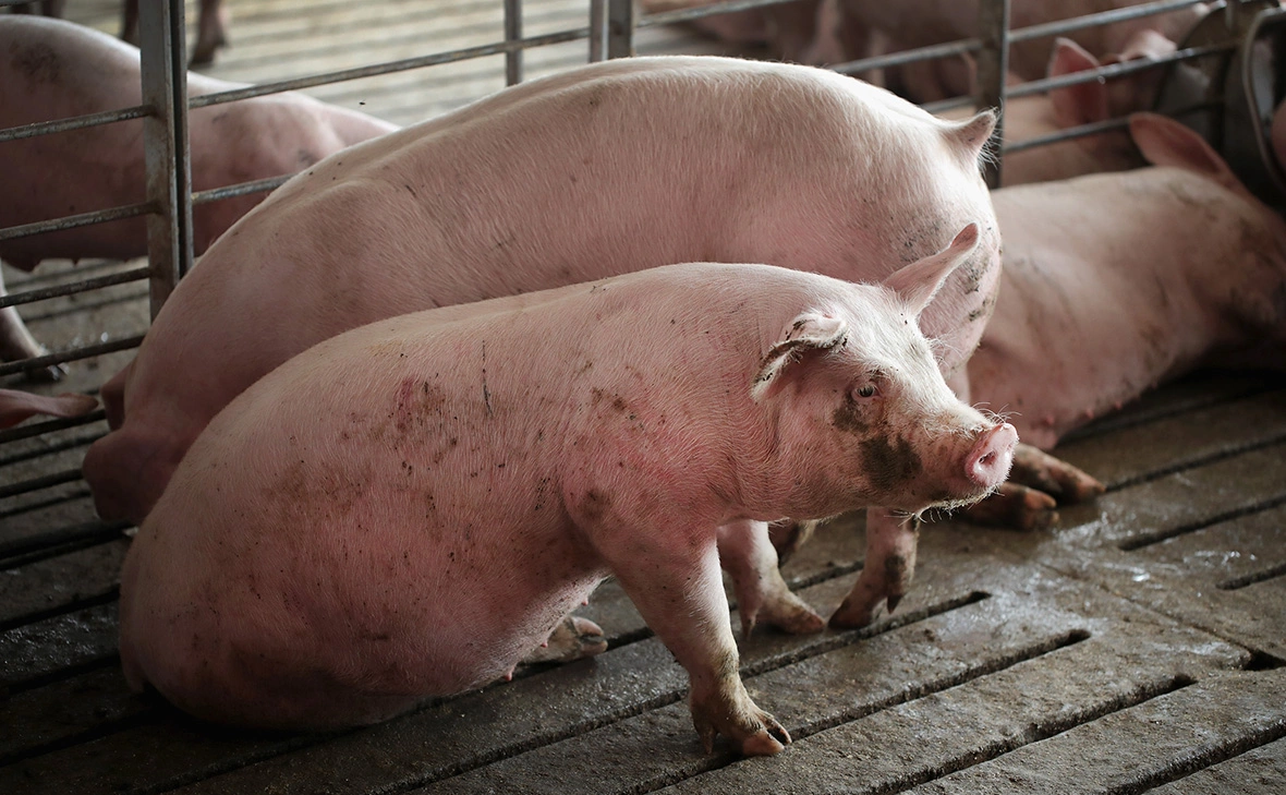 Scott Olson / Getty Images