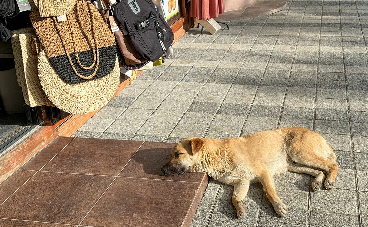 Сергей Петров / Global Look Press