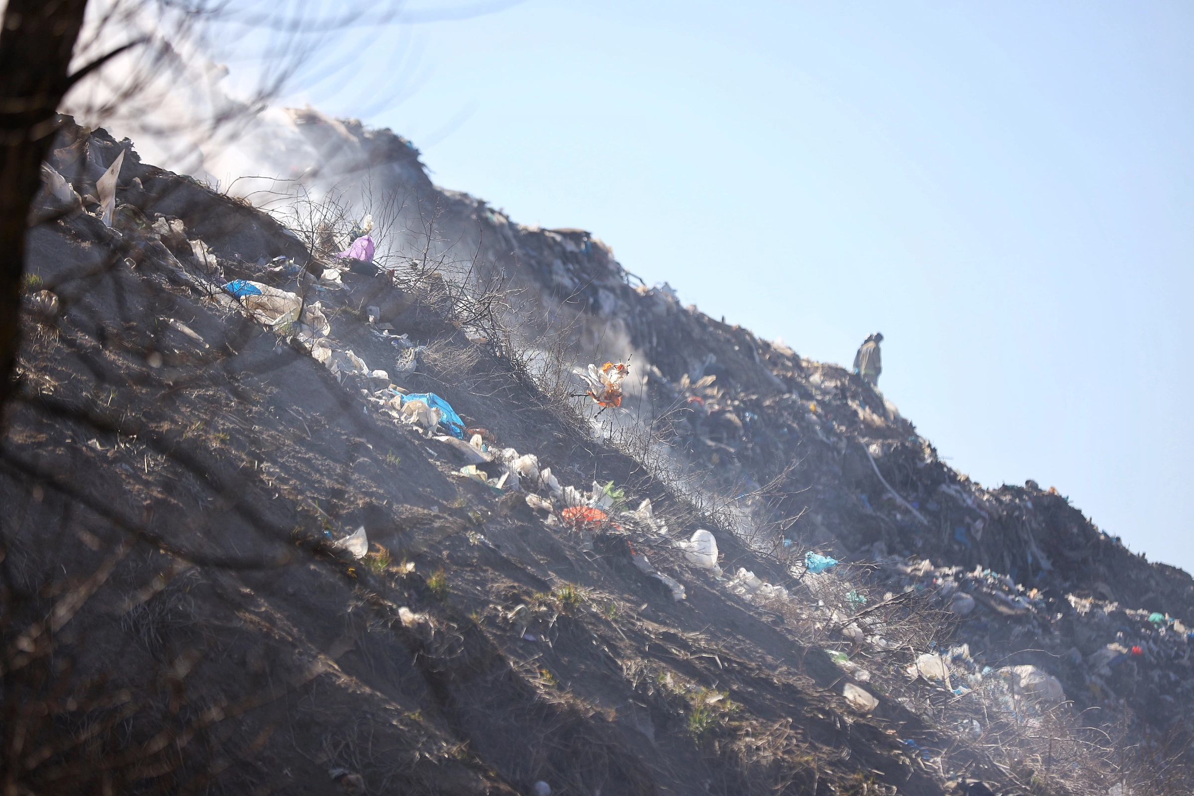 Александр Подгорчук
