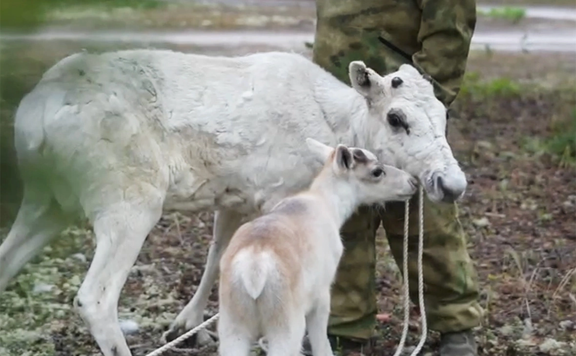 Правительство ЯНАО