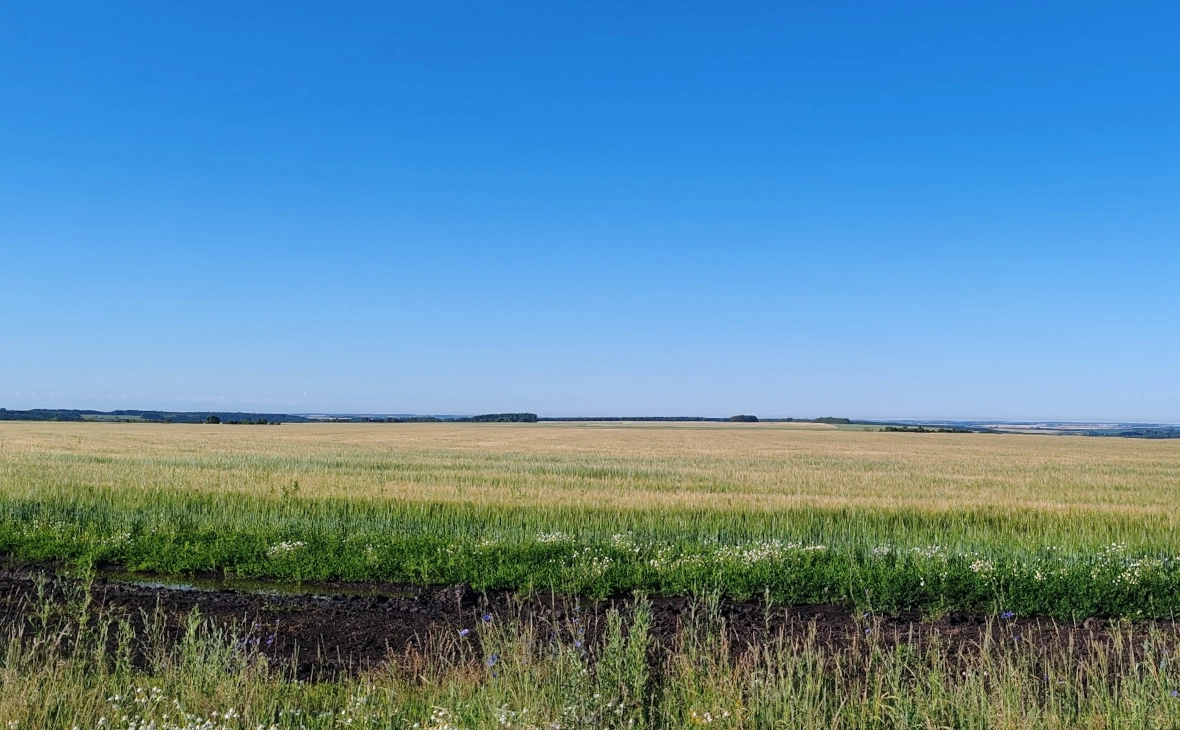 РБК Черноземье