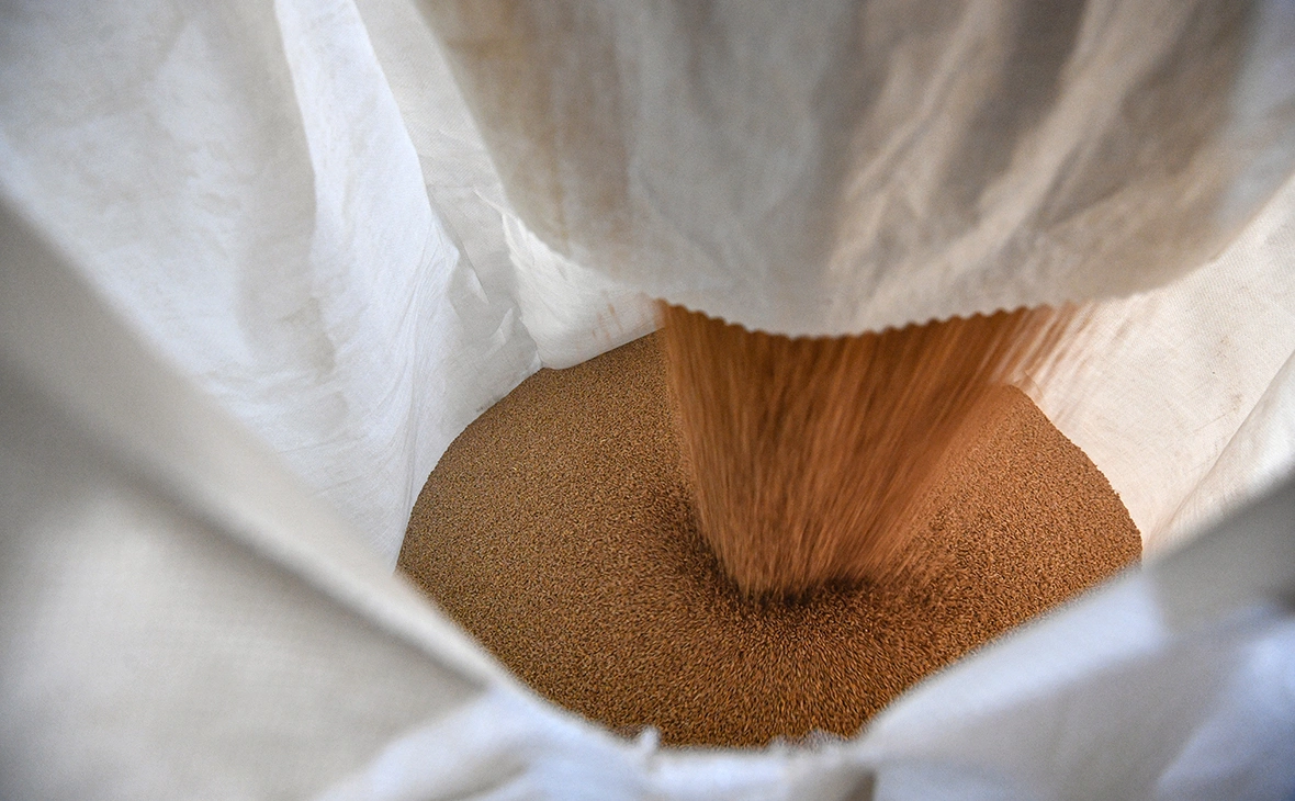 Павел Лисицын / РИА Новости