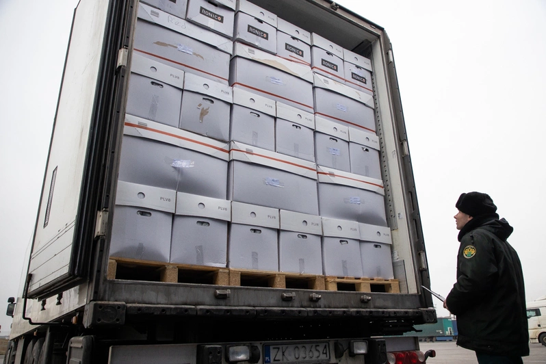 Александр Подгорчук