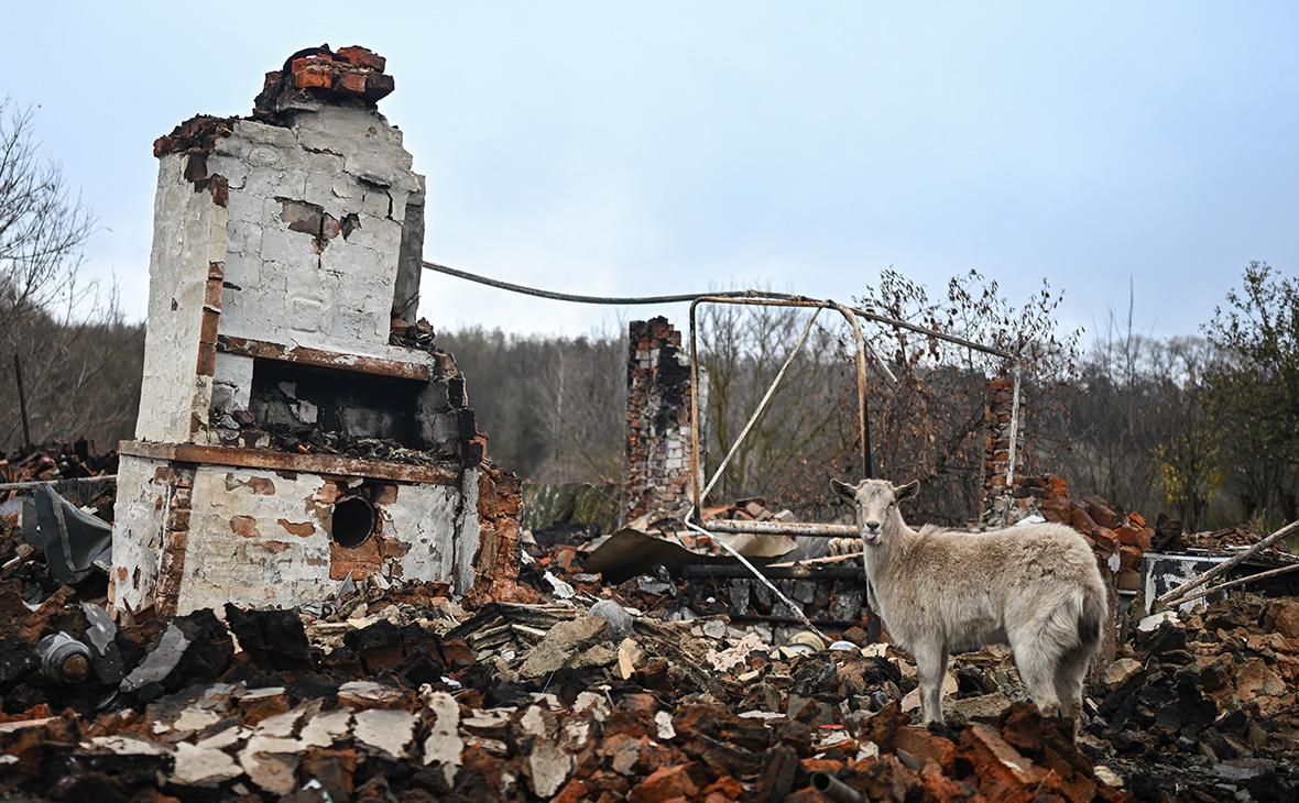 Развалины&nbsp;разрушенного жилого дома во время боевых действий&nbsp;в Курской области