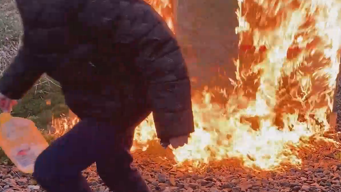 ФСБ показала кадры задержания поджигателя железнодорожной инфраструктуры