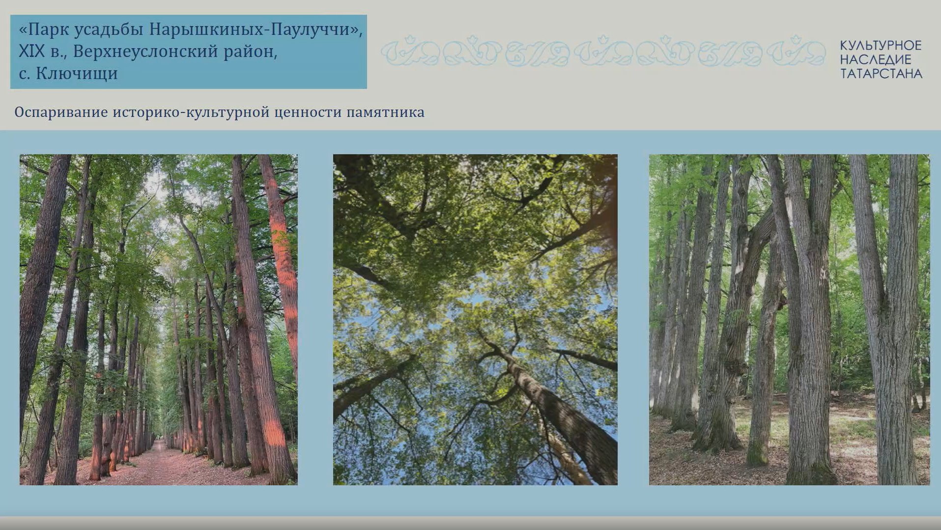 скриншот презентации Ивана Гущина