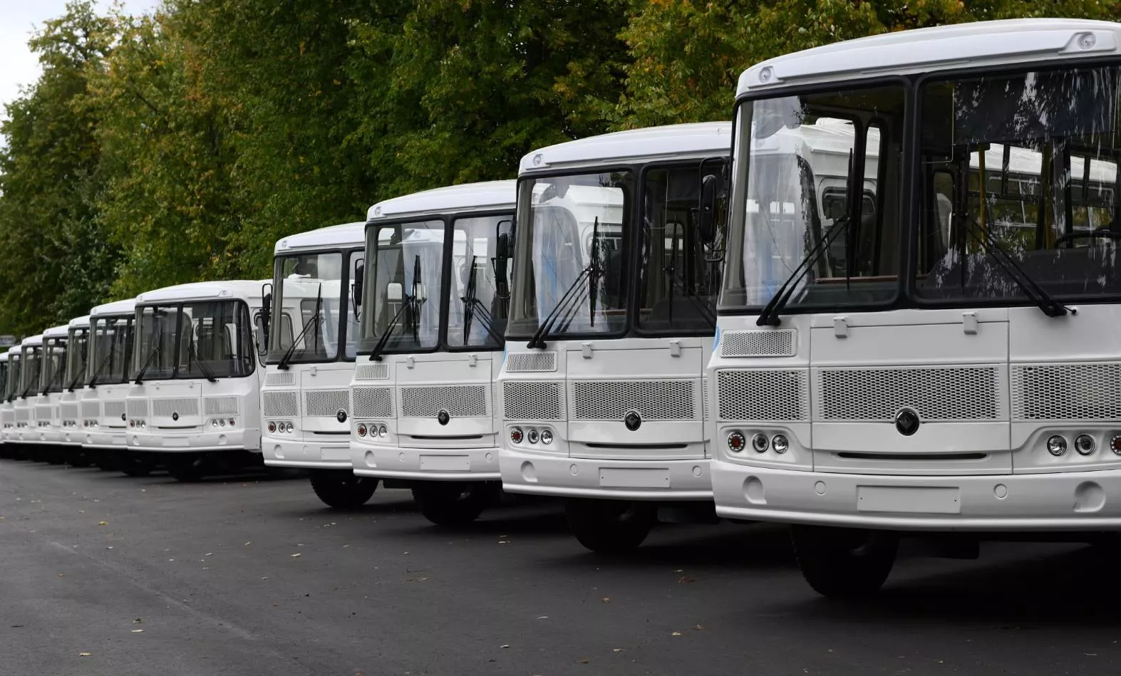 Пресс-служба правительства Нижегородской области