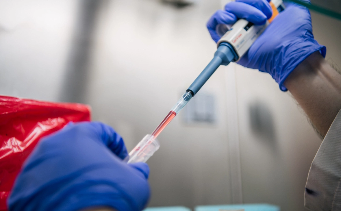 Brandon Bell / Getty Images