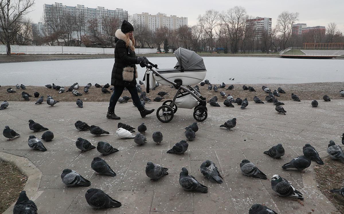 Как за пять лет изменилось желание россиянок иметь детей