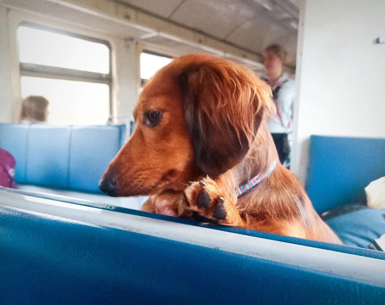 РБК Приморье