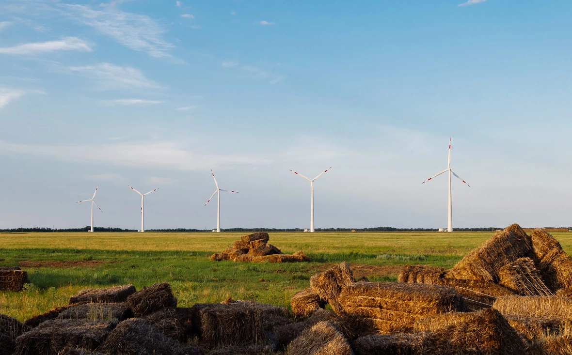 «НовоВинд»