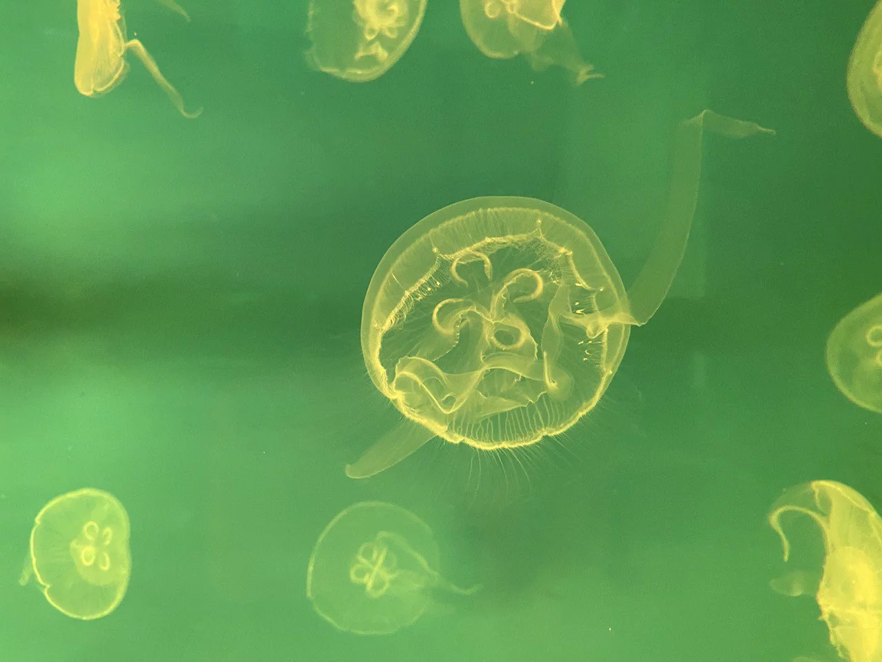 РБК Приморье