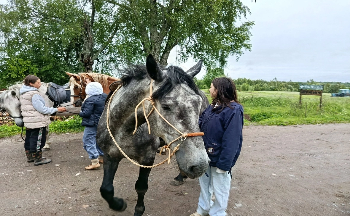 министерство сельского и рыбного хозяйства РК/ vk.com 