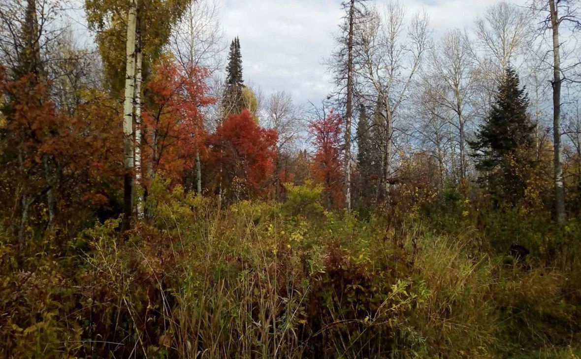 ГСУ СК России по Красноярскому краю и Республике Хакасия