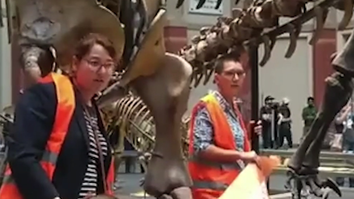 Экоактивистки приклеили себя к скелету динозавра в Берлине