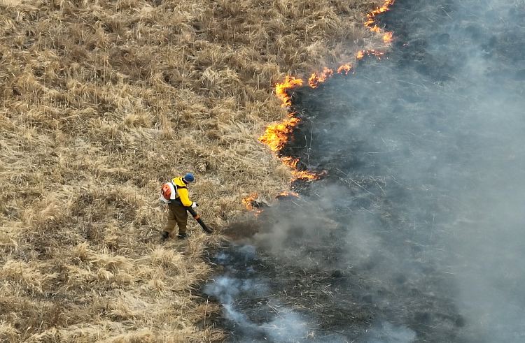 Фото: Правительство Приморского края