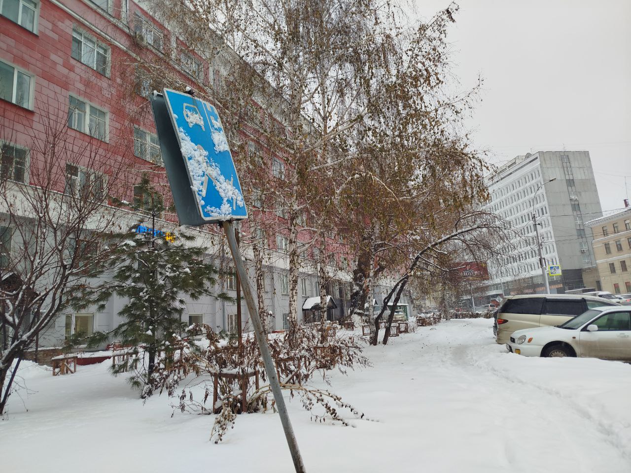 Фото: Анна Иванова / РБК Новосибирск