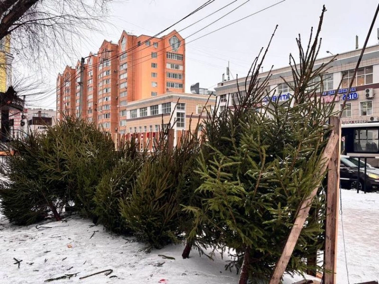 администрация Вологды