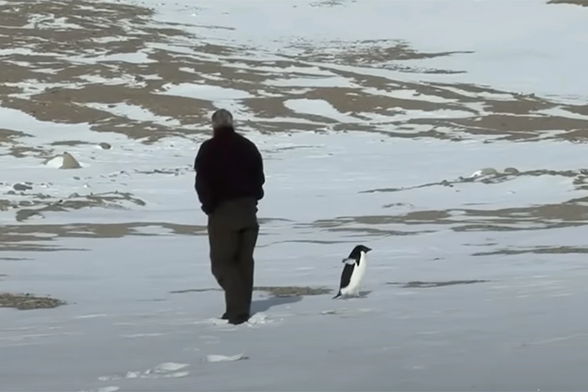Кадр из фильма «Встречи на краю света«