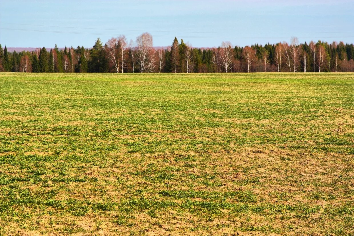 66.RU