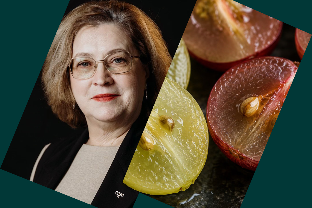 Сила, честность и «мощная кожица»: на какой виноград похожи виноделы