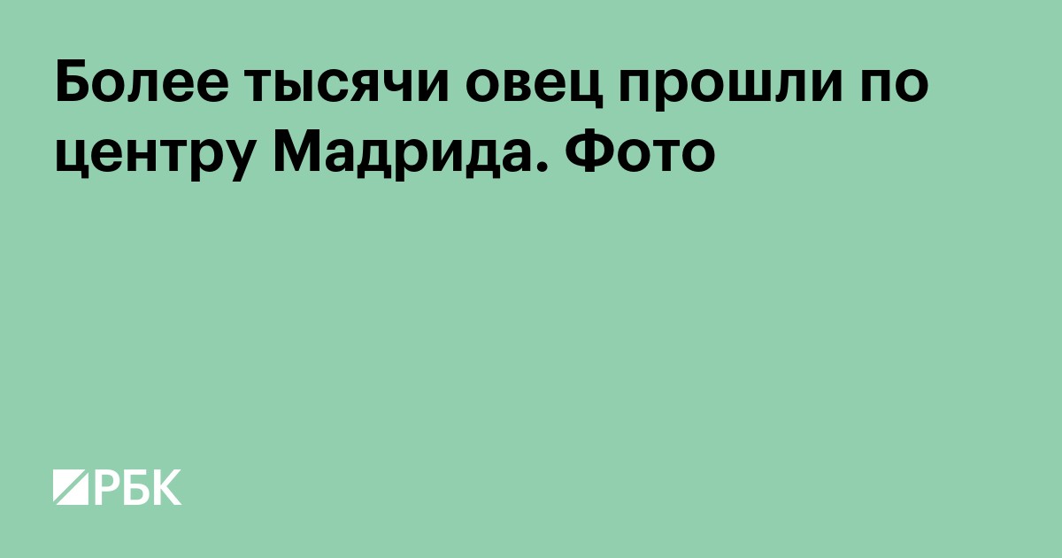 Более тысячи овец прошли по центру Мадрида. Фото