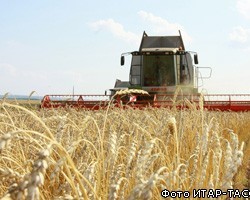 РЗС снизил прогноз по урожаю до 72-78 млн т зерна