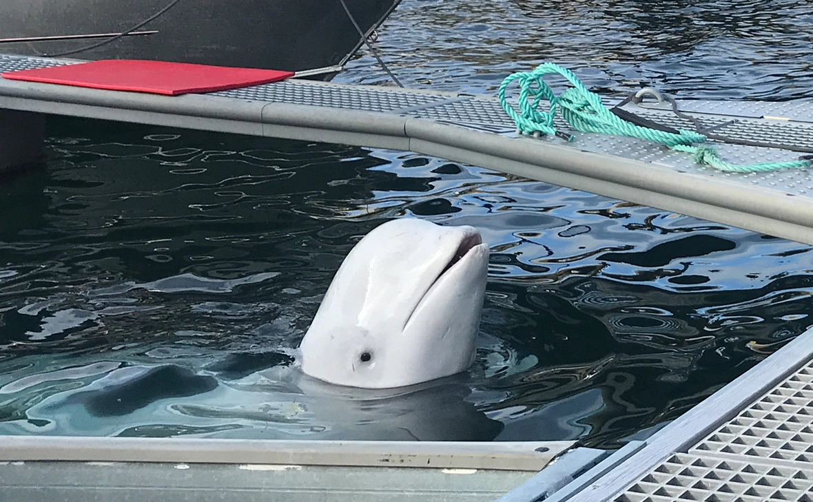 statsministerenskontor / Flickr