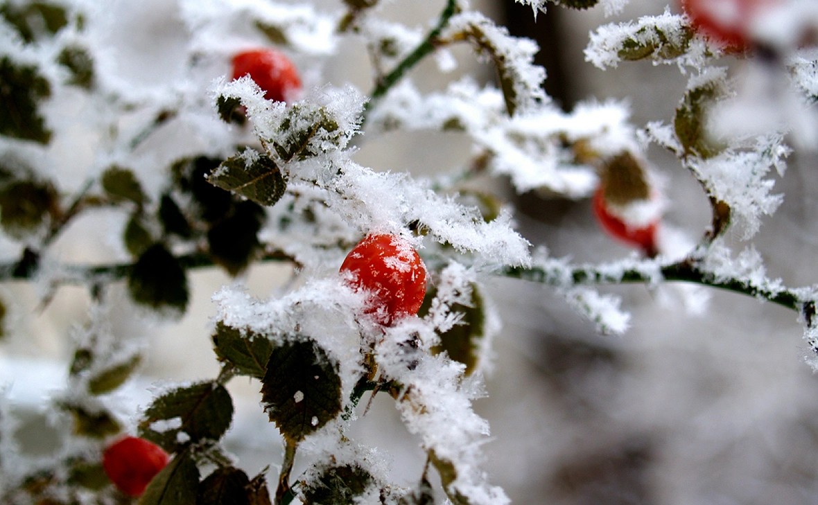 Александр Легкий / Global Look Press