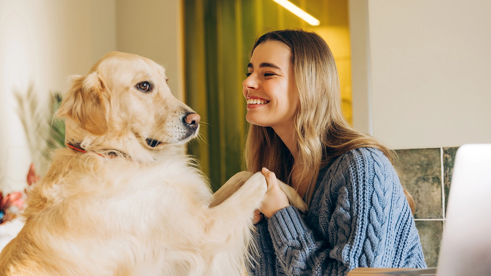 Взаимодействие с собаками замедляет биологическое старение женщин