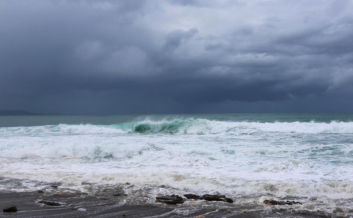 Фото: Gilbert Bellamy / Reuters