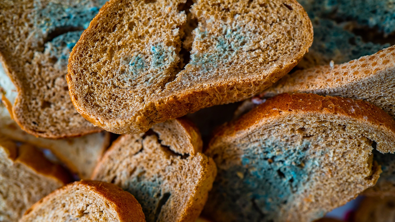 Плесень на хлебе