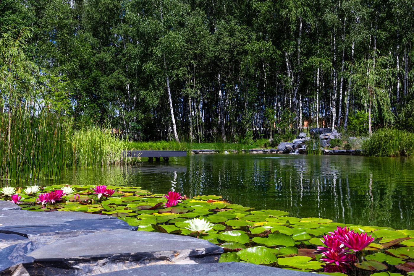 Фото: Crystal Forest