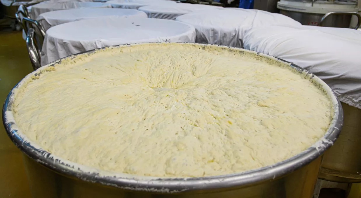 Владимир Жабриков / РИА URA.RU