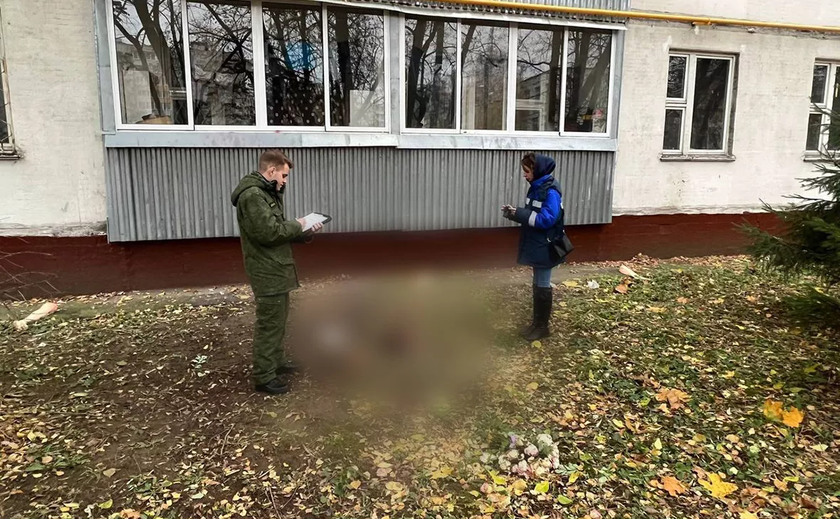 Следственный комитет РФ / Telegram