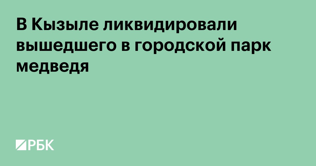 В Кызыле ликвидировали вышедшего в городской парк медведя