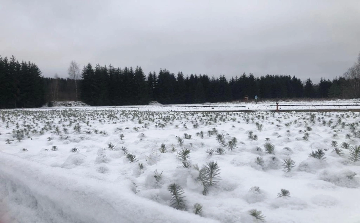 Минприроды Карелии / vk.com