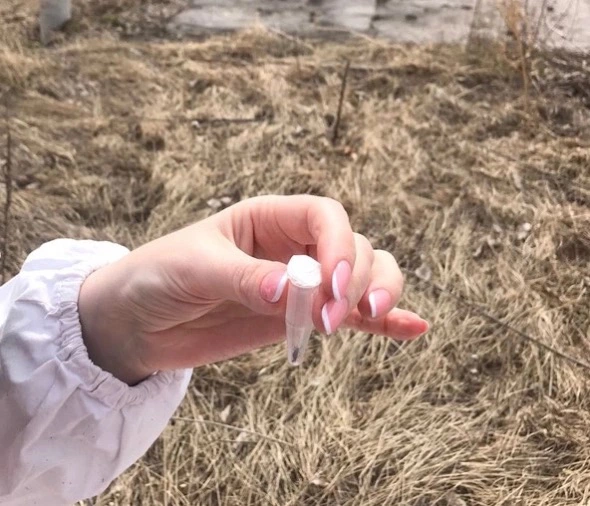 Администрация Красноярска