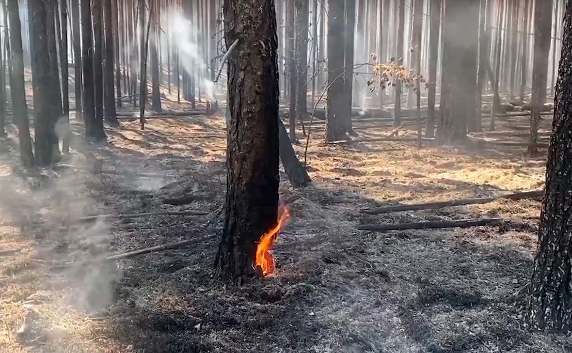 В Карелии действуют 29 лесных пожаров на площади около 1 630 га