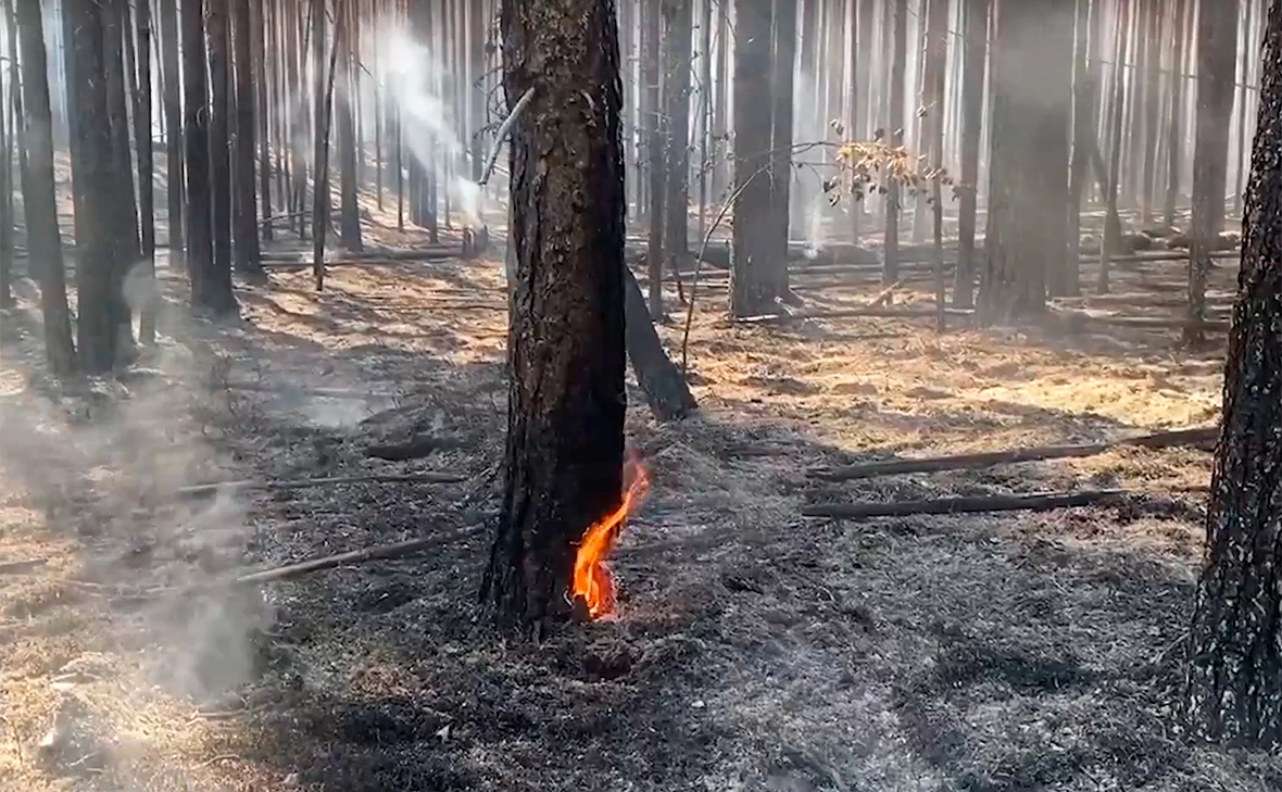 Министерство природных ресурсов и экологии Республики Карелия 