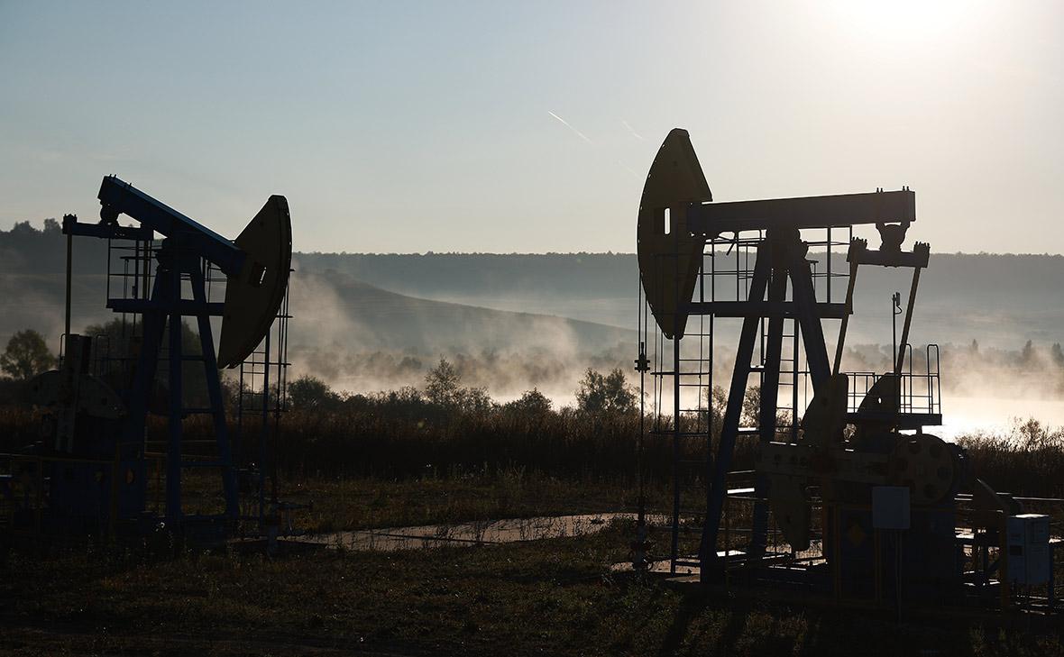 Фото:Егор Алеев / ТАСС
