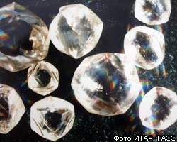 Полмиллиона нелегальных кристаллов пытались провезти в Петербург